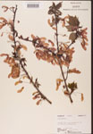 000002507-thumbnail.jpg