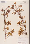 000002508-thumbnail.jpg