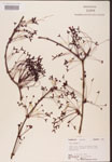 000002510-thumbnail.jpg