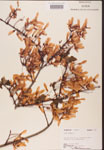000002512-thumbnail.jpg