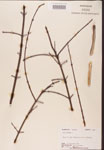 000002514-thumbnail.jpg