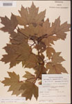 000002519-thumbnail.jpg