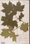 000002521-thumbnail.jpg