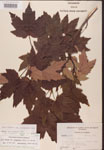 000002522-thumbnail.jpg