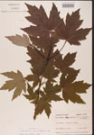 000002523-thumbnail.jpg