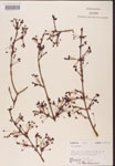 000002527-thumbnail.jpg
