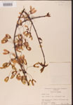 000002530-thumbnail.jpg