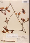 000002533-thumbnail.jpg