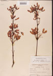 000002534-thumbnail.jpg
