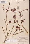 000002536-thumbnail.jpg