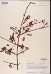 000002538-thumbnail.jpg