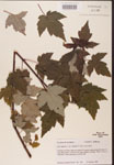 000002540-thumbnail.jpg