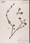 000002541-thumbnail.jpg