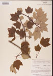 000002543-thumbnail.jpg