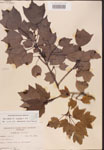 000002544-thumbnail.jpg