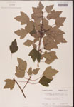000002546-thumbnail.jpg