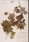 000002547-thumbnail.jpg