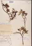 000002548-thumbnail.jpg
