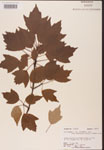 000002551-thumbnail.jpg