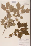 000002552-thumbnail.jpg