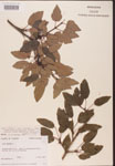 000002554-thumbnail.jpg