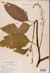 000002560-thumbnail.jpg