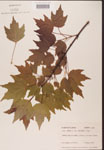 000002564-thumbnail.jpg