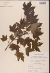 000002567-thumbnail.jpg