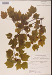 000002569-thumbnail.jpg