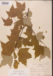 000002576-thumbnail.jpg