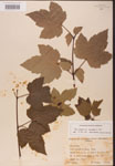 000002577-thumbnail.jpg