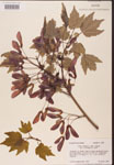 000002578-thumbnail.jpg