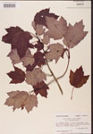 000002579-thumbnail.jpg