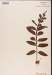 000002583-thumbnail.jpg
