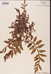 000002600-thumbnail.jpg