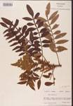 000002601-thumbnail.jpg