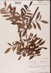 000002602-thumbnail.jpg