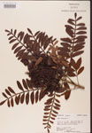 000002609-thumbnail.jpg