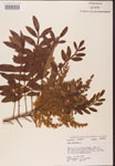 000002610-thumbnail.jpg