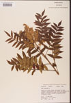 000002612-thumbnail.jpg