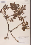 000002614-thumbnail.jpg