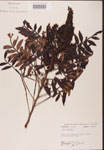 000002615-thumbnail.jpg