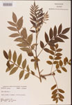 000002618-thumbnail.jpg