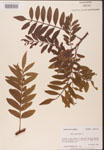 000002619-thumbnail.jpg