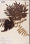 000002622-thumbnail.jpg