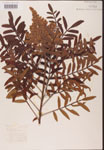 000002623-thumbnail.jpg