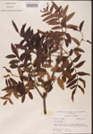 000002625-thumbnail.jpg