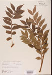 000002626-thumbnail.jpg