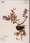 000002627-thumbnail.jpg