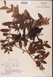 000002628-thumbnail.jpg